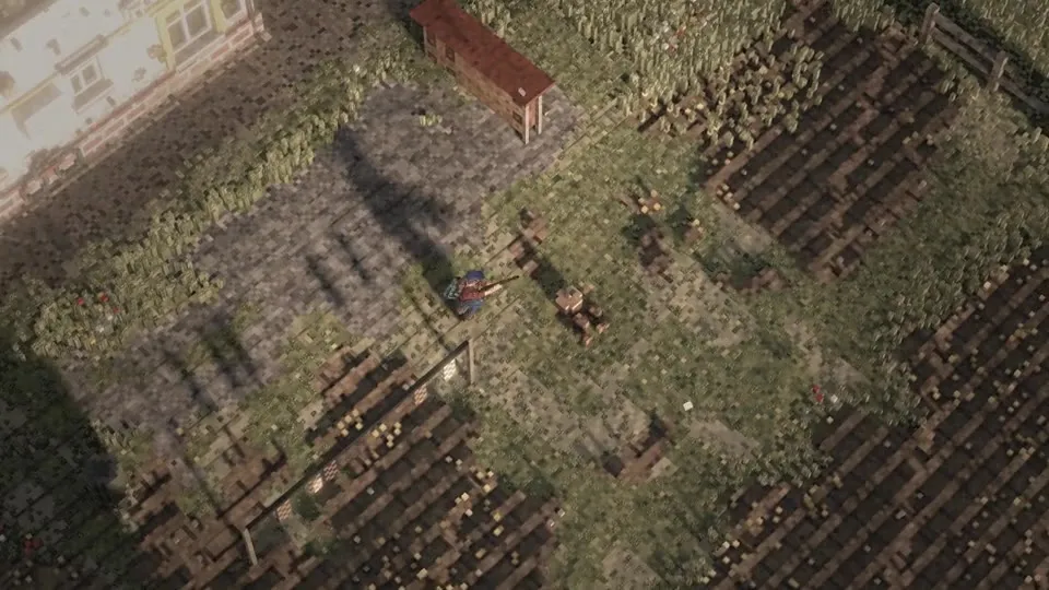 Exploring an overgrown settlement
