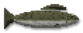 Walleye Pollock