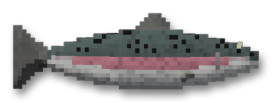 Steelhead Trout