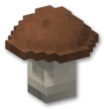 King Bolete