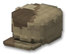 Patrol Cap (Desert)
