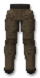Canvas Pants