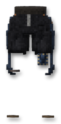 Denim Shorts (Black)