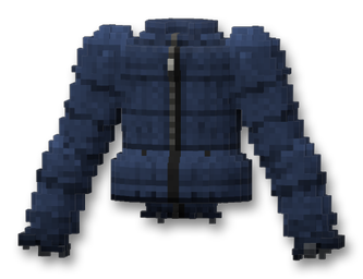 Down Jacket