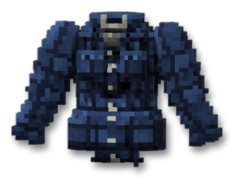 Flannel Shirt (Blue Check)