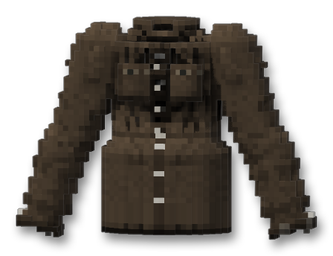 Winter Coat