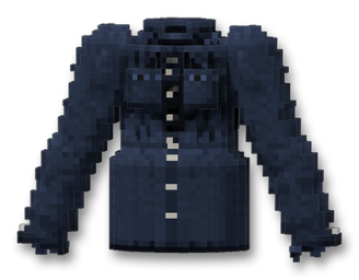 Wool Coat (Blue)